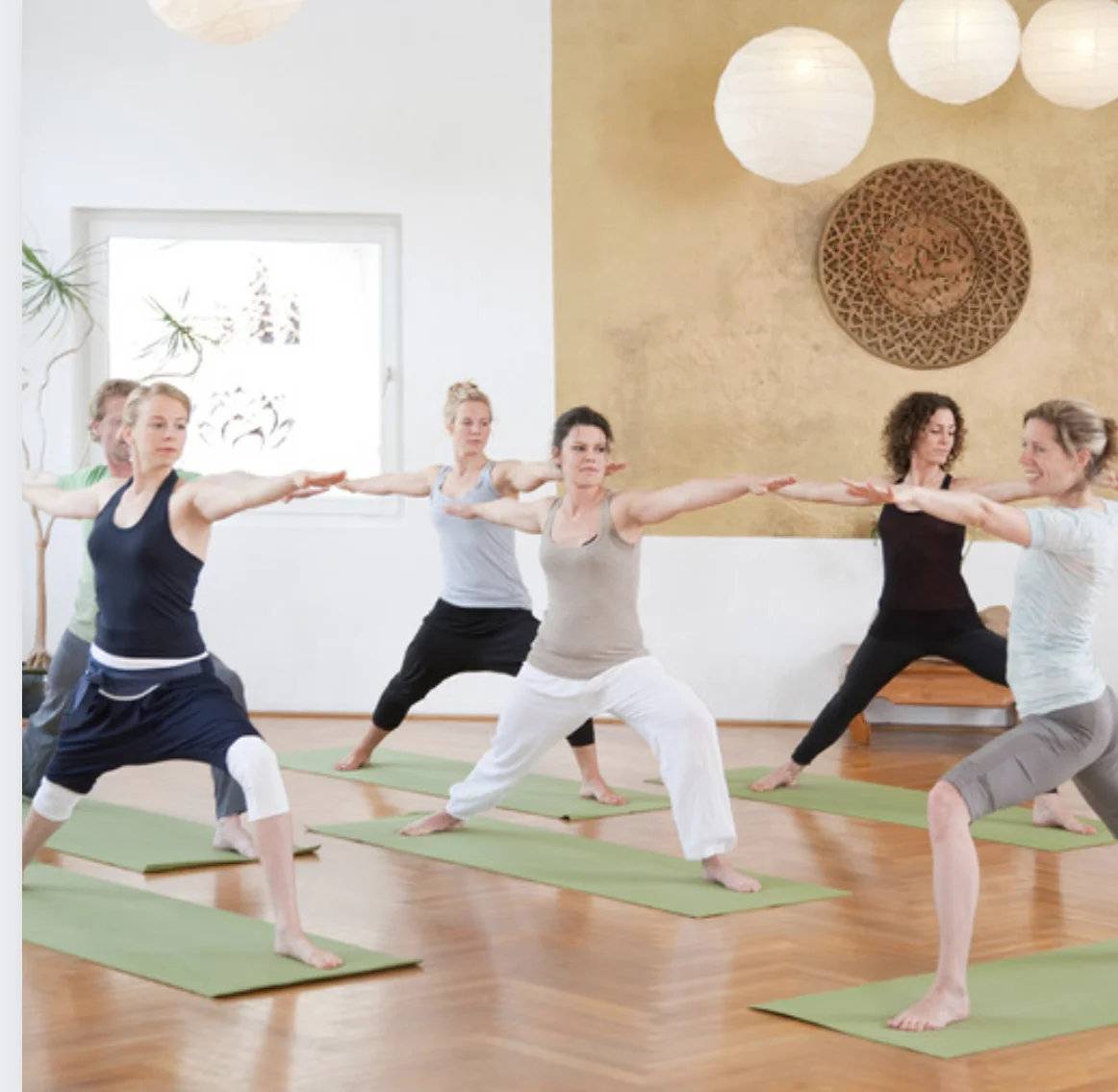 Ayurveda dosha activité business entrepreneur