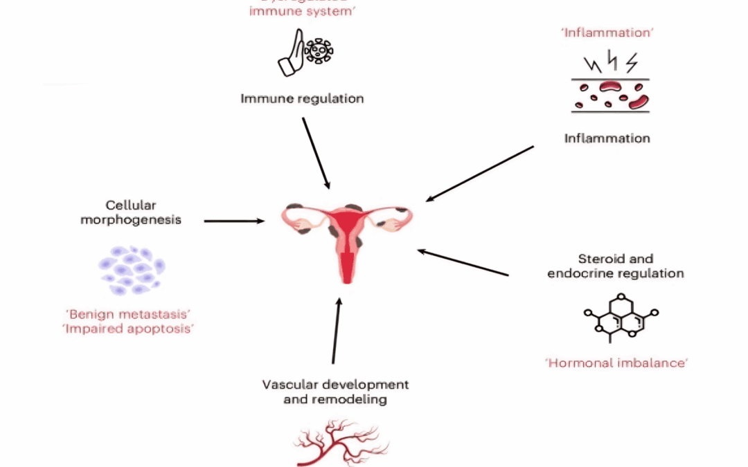 What the Largest Genetic Study Ever Conducted on Endometriosis Means for Yoga Teachers