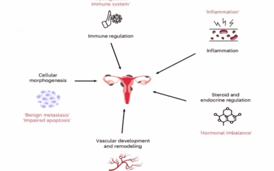 What the Largest Genetic Study Ever Conducted on Endometriosis Means for Yoga Teachers